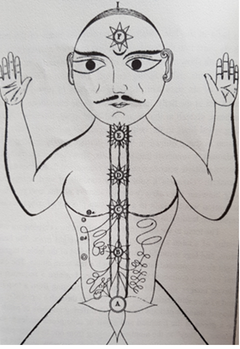 Shom’s pictorial representation of the chakras.